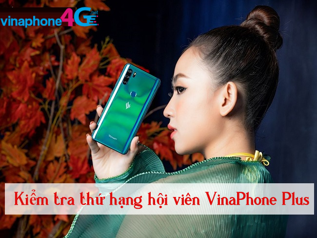 Lam the nao de kiem tra hang hoi vien VinaPhone Plus? kiem tra hang hoi vien VinaPhone Plus