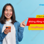 loi khong dang nhap vinaphone plus duoc