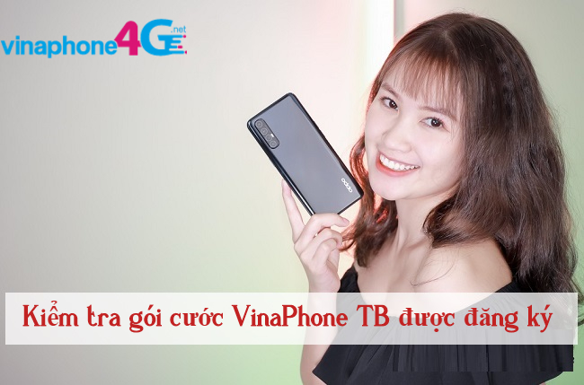 Kiem tra goi cuoc khuyen mai vinaphone danh cho thue bao kiem tra goi cuoc vianphone duoc dang ky