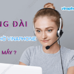 tong dai nhac cho vinaphone so may