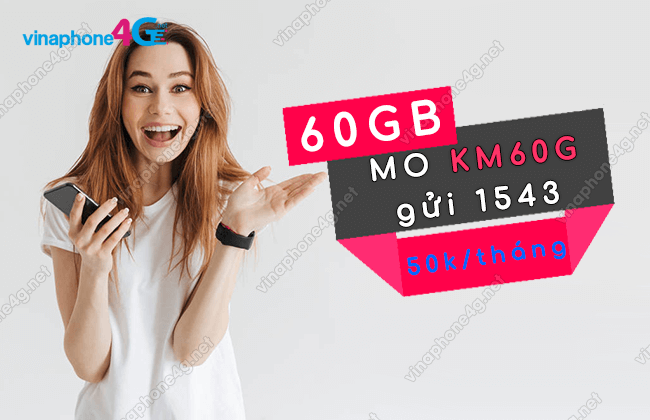 goi cuoc km60g vinaphone