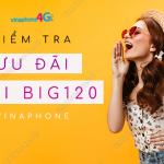 kiem tra uu dai goi big120 vinaphone