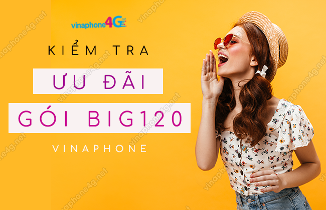 kiem tra uu dai goi big120 vinaphone