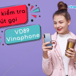 cach kiem tra phut goi vinaphone vd89