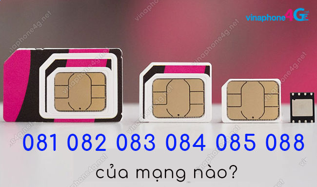 cac dau so 081 082 083 084 085 088 mang nao cac dau so 081 082 083 084 085 088 cua mang nao