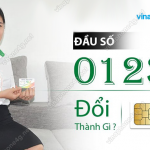 dau so 0123 doi thanh dau so gi