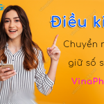 dieu kien chuyen mang giu so sang vinaphone