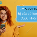 sim vinaphone bi cat co lam lai duoc khong