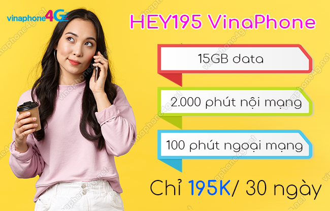 goi hey195 vinaphone