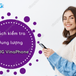 cach kiem tra uu dai d30g cua vinaphone