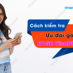 cach kiem tra uu dai goi d1gb vinaphone