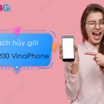 huy goi big200 vinaphone