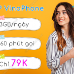 dang ky goi 4g vinaphone d79p