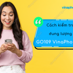 kiem tra uu dai data phut goi goi go109 vinaphone