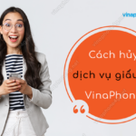 huy dich vu giau so vinaphone