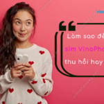 lam sao de biet sim vinaphone bi thu hoi hay chua