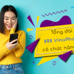 tong dai 888 vinaphone