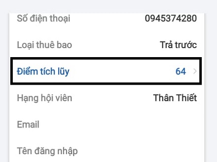 huong dan xem diem tich luy vinaphone online tren my vnpt