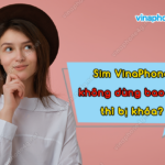 sim vinaphone khong dung bao lau thi bi khoa