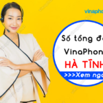 so tong dai vinaphone ha tinh