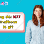 tong dai 1077 vinaphone