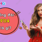 tong dai 9114 vinaphone la gi