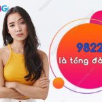 9822 la tong dai gi