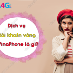 dich vu tai khoang vang vinaphone la gi