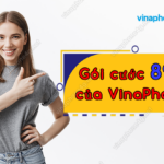 goi cuoc 89k cua vinaphone