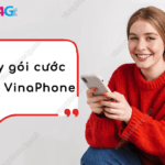 huy goi cuoc d89p vinaphone