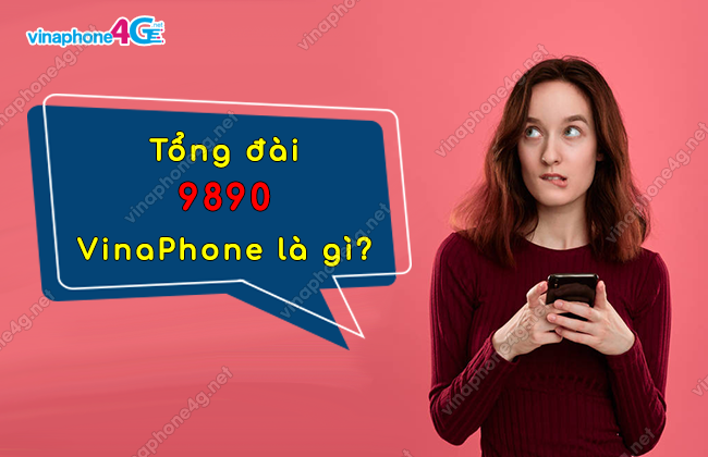 tong dai 9890 vinaphone la gi