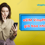 gia esim vinaphone