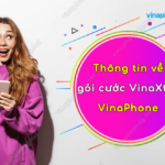 goi cuoc vinaxtra vinaphone