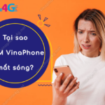 esim cua vinaphone mat song