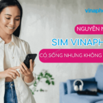 sim vina co song nhung khong goi duoc