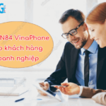 dang ky goi cuoc dn84 vinaphone