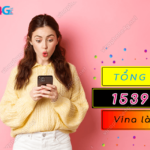 tong dai 1539 vinaphone la gi