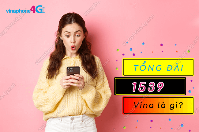 tong dai 1539 vinaphone la gi