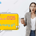 dau so 0125 la mang gi