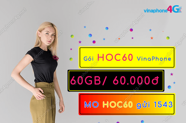 goi hoc60 vinaphone