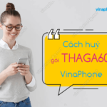 huy goi thaga60 vinaphone