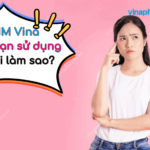 sim 4g vinaphone het han su dung