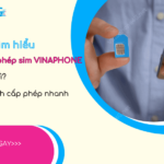 chua cap phep sim vinaphone