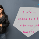 sim vinaphone khong du dieu kien nap the garana