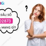 dau so 02873 la mang gi