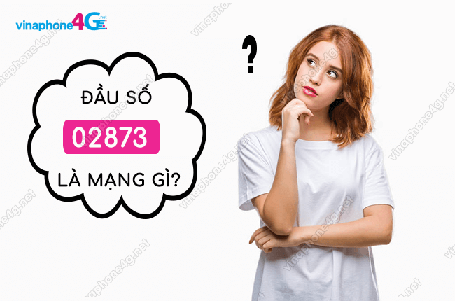 dau so 02873 la mang gi