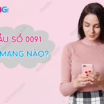 dau so 0091 la mang nao