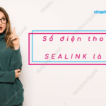 so dien thoại sealink la gi