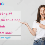 so la dang ky thong tin thue bao cua minh phai lam sao