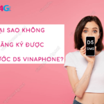 tai sao khong dang ky duoc goi d5 vinaphone